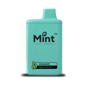 Mint Vapor 6500 Puff Disposable SpearMint