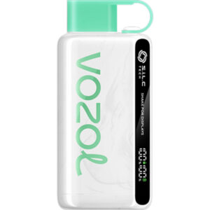 Vozol Star 9000 Puff Disposable Miami Mint